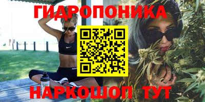 гидропоника Ефремов