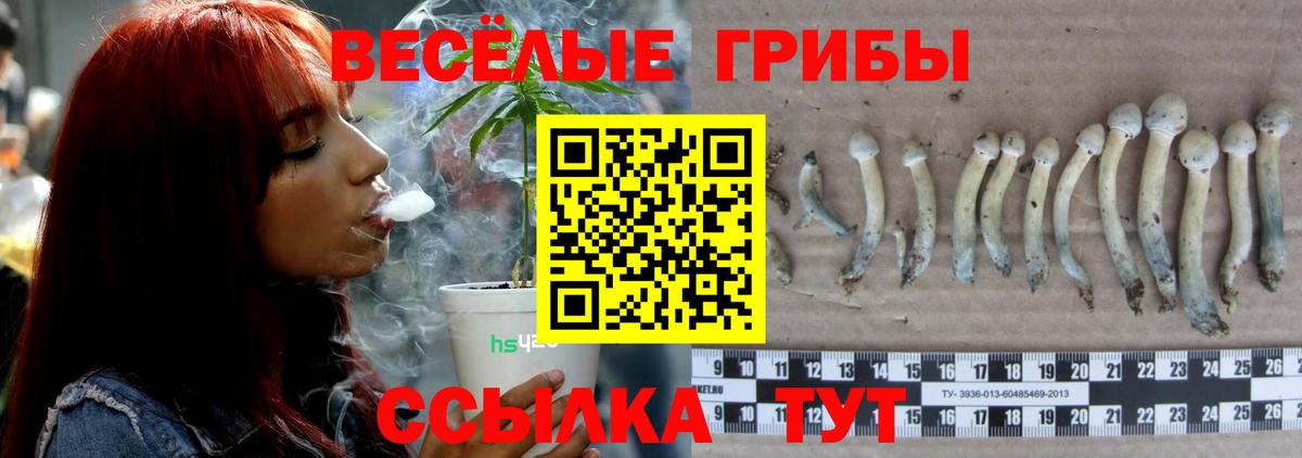 Псилоцибиновые грибы Cubensis Воронеж